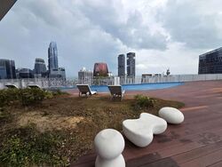 Blk 1 The Pinnacle@Duxton (Bukit Merah), HDB 4 Rooms #531944661